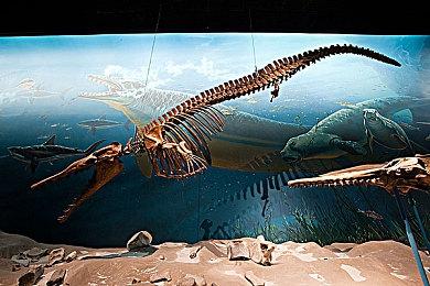 Ti10俄罗斯战队TS夺冠 普京亲自发文表示祝贺