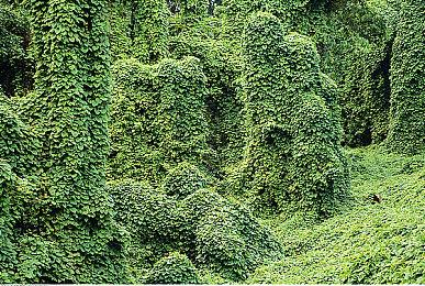 《黑客帝国：觉醒》虚幻引擎5体验上架XSX＆PS5